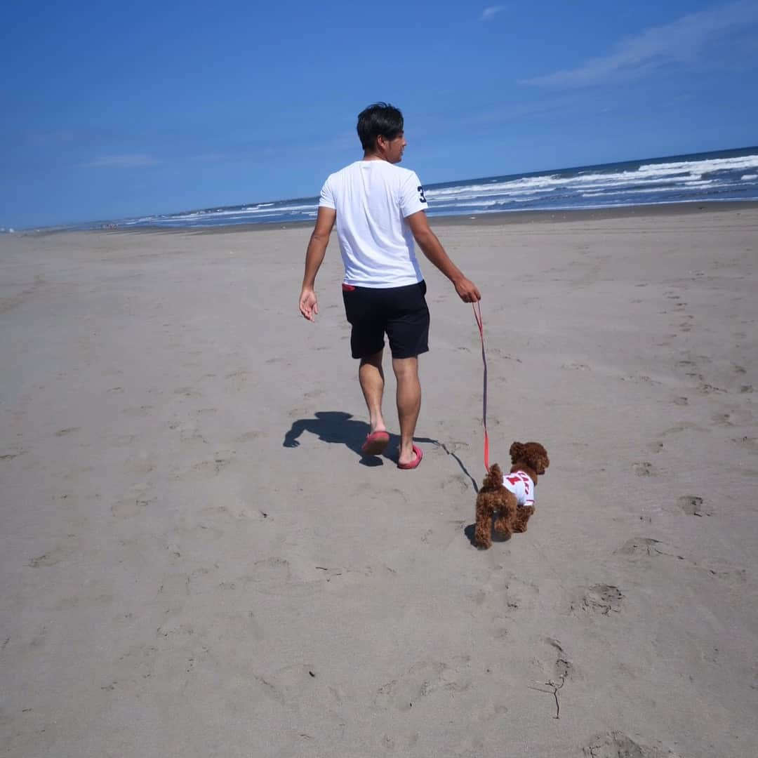 中崎雄太さんのインスタグラム写真 - (中崎雄太Instagram)「昨日は海に今日はドッグランにマロン先輩にとってはとても充実した2日間でした🎶 走って走ってお尻追っかけて。笑笑 疲れ果ててぐったりzzz とてもリフレッシュ出来た休日でした(^^) #ドギーズアイランド#九十九里浜海岸#マロン先輩#ドッグラン#カープユニ#もちろんライオンズユニもありますよ#ゴールデンブレーブスも作ろうかな。」9月14日 18時37分 - y.nakazaki46