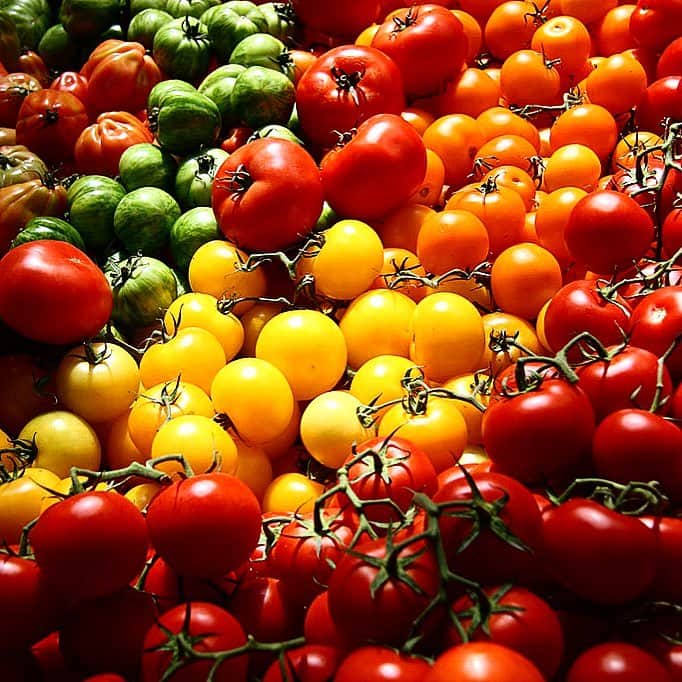 ヴィットリオ ポモドーロ ツキジのインスタグラム：「. 🍅種類豊富な『トマト』と 魚介をたっぷり使った、 . ≪築地生まれのイタリアン≫ . をご堪能ください🇮🇹 . #VittorioPomodoroTsukiji  #ヴィットリオポモドーロツキジ  #築地 #築地市場  #イタリアン  #トマト  #tomato  #ソムリエ  #アヒージョ  #パスタ  #魚介  #シチリア  #ガーリックトースト  #ワイン  #japan  #Vittorio  #Pomodoro  #tsukiji  #港区  #新橋  #バル  #パーティー  #立ち飲み  #地中海  #海外旅行  #旅行  #リゾート  #本格  #合コン  #記念日」
