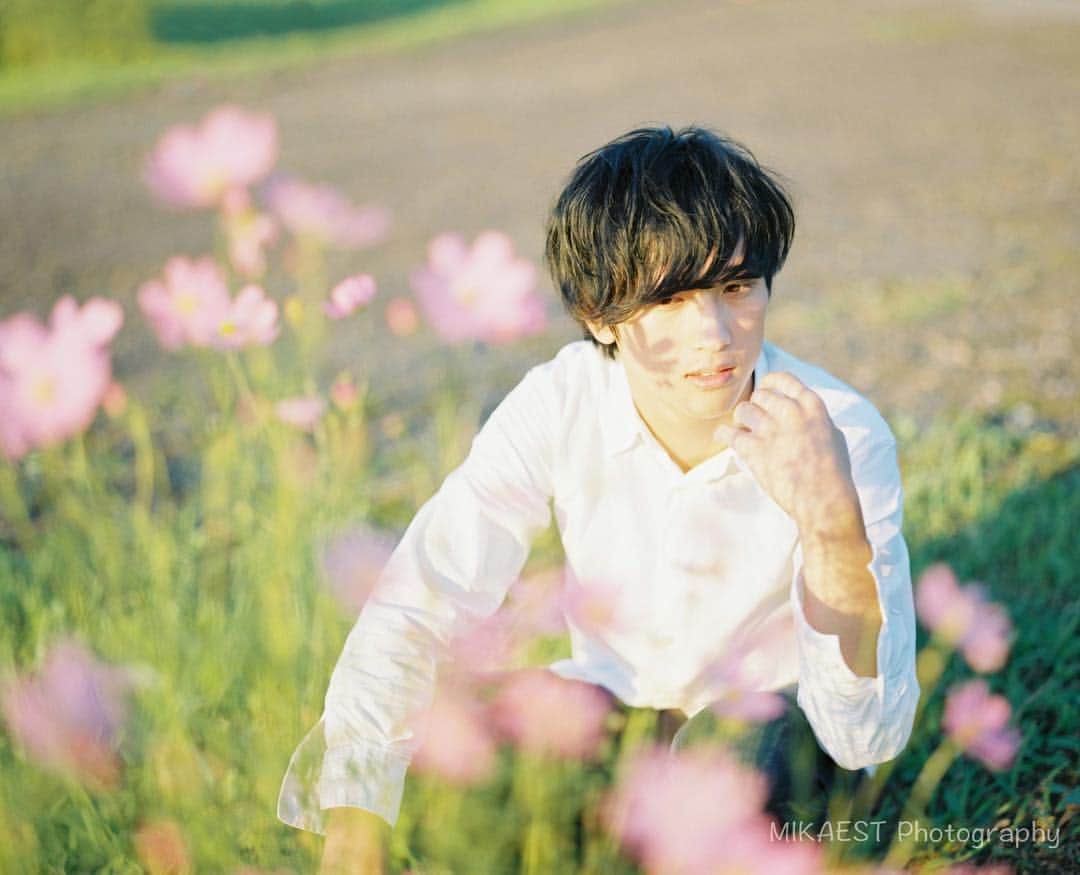 mikaestのインスタグラム：「Cosmos × #pentax67 × #ヤマプリ model : @yuumw64 . バケペンでの今年初モス🌸 #バケモス . いつも @yamacame さんにはお世話になっております^ ^今回の新潟コスモスシリーズ、大きくプリントしたいなって思いました♩♩ . . #コスモス男子 略して #モス男 （もすだん） #花より男子 . .」