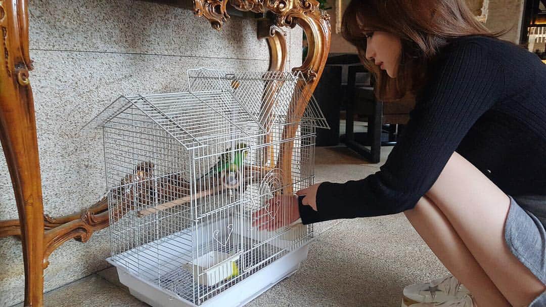 南りほのインスタグラム：「🐥만지고싶은데... 도망가네..」