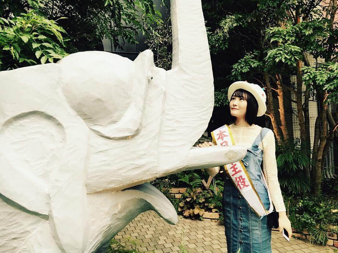 川上礼奈さんのインスタグラム写真 - (川上礼奈Instagram)「. ぞうさん🐘💭 発見しました。笑」9月16日 23時28分 - rena_kawakami