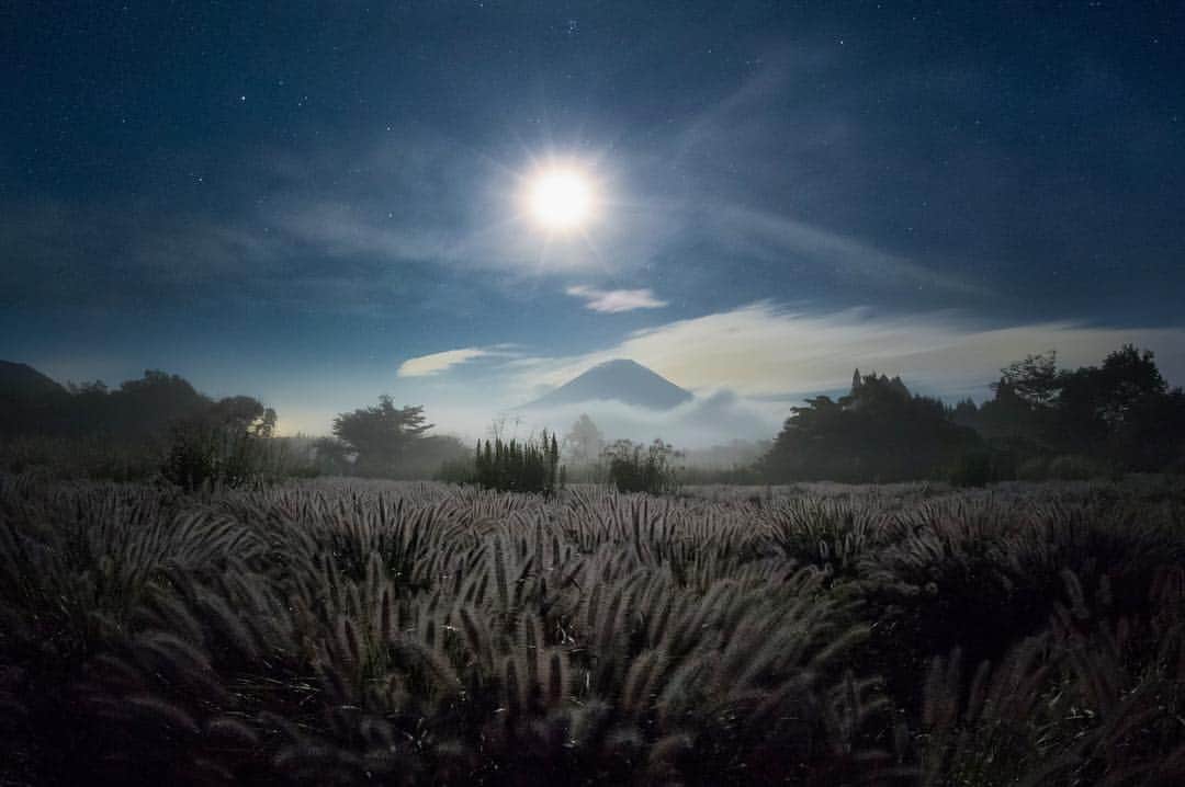 Atsushi Aizawaのインスタグラム：「1053 チカラシバ  Fujinomiya, Shizuoka, Japan 静岡県富士宮市 猪之頭  #japanfocus #jp_gallery #instagramjapan #ig_japan #wu_japan #wu_asia #worldunion #theworldshotz #igersjp #team_jp_ #team_jp_東 #静岡県 #team_jp_skyart  #mtfuji #Japan #Shizuoka  #natureaddict Mt. Fuji Shizuoka, Japan #Lovers_Nippon #東京カメラ部#japan_night_view #japan_night_view_member #1xPicoftheDay #phos_japan #夜景ら部 #写真好きな人と繋がりたい #bestjapanpics  #photo_shorttrip #しぞーカメラ部  #night_excl」