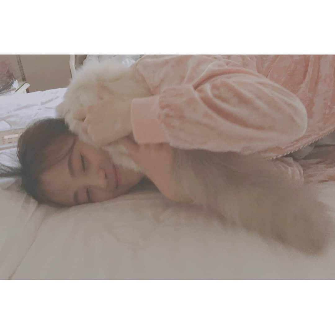 ジュー・ジンイー（キクちゃん）さんのインスタグラム写真 - (ジュー・ジンイー（キクちゃん）Instagram)「🐱🐱🐱」9月19日 22時17分 - kikuchanj