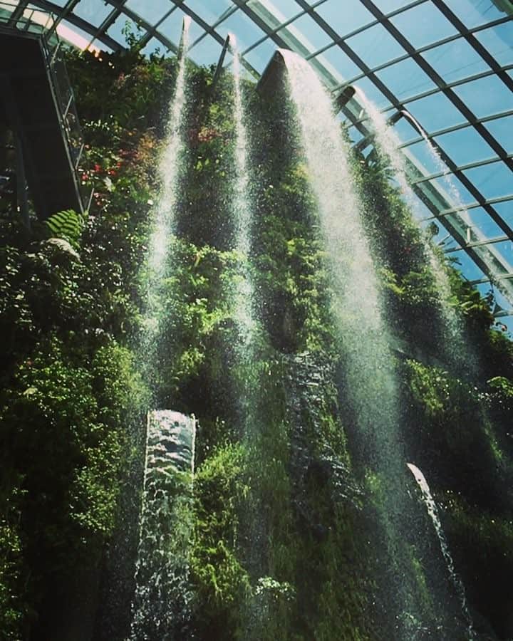 金子実加のインスタグラム：「滝 . #music #singer #가수 #kanekomika #金子実加 #MIKA #japanese #travel  #노래 #me #植物園 #셀카질 #life #신사동 #강남 #좋아요 #シンガポール #love #selfie #自然 #旅行 #歌手 #waterfall #singapore #フォロー #nature #滝」