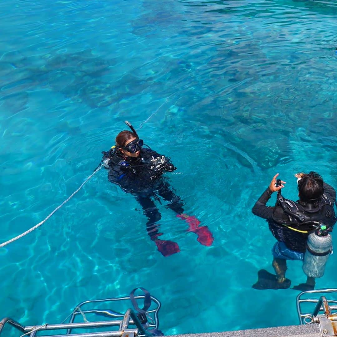 彩海のインスタグラム：「. Congratulations on getting my scuba diving license 🔰 (Open water diver) . ダイビングライセンス🐳 オープンウォーターゲットしました〜💕 . . カメさんにもマンタさん(2匹) にも会えて ラッキーすぎました♡♡♡ . . ハマったwww 沖縄に家借りようかな…笑 . . スワイプして見てね📷 . . . #ダイビング なら #パライソ沖縄 へ♡ #慶良間諸島#ダイビングライセンス#スキューバダイビング  #慶良間#座間味#座間味島#沖縄#那覇#ダイビング#初心者#慶良間ブルー#マンタ#カメ #scuba#scubadiving #openwaterdiver #openwater#scubaphoto #そーいえば毎年なにかしら免許取ってるw #去年はジェットスキー免許 #今年はスキューバ」