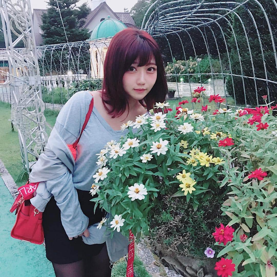 あやぱんのインスタグラム：「🌷🌹🌺🌻🌼💐#flower」