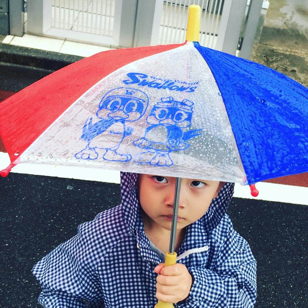 坂東亀三郎さんのインスタグラム写真 - (坂東亀三郎Instagram)「どうしてもこの傘で散歩に行きたいと…。 家の中で振り回して遊んでいる傘なので、赤色の所も青色の所にも穴が🕳開いているのですが、頑として聞かず…。 雨中散歩で濡れない方がおかしいし、嬉しそうだから、まぁいいか。  #応燕傘 #雨中散歩 #ヤクルト #スワローズ #歌舞伎 #音羽屋 #歌舞伎役者 #亀三郎 #坂東亀三郎 #六代目 #彦三郎 #坂東彦三郎 #九代目 #歌舞伎部 #KABUKI #otowayabando #親バカ部 #倅マン #えみふる コメントはお気軽に📝」9月21日 7時38分 - otowayabando