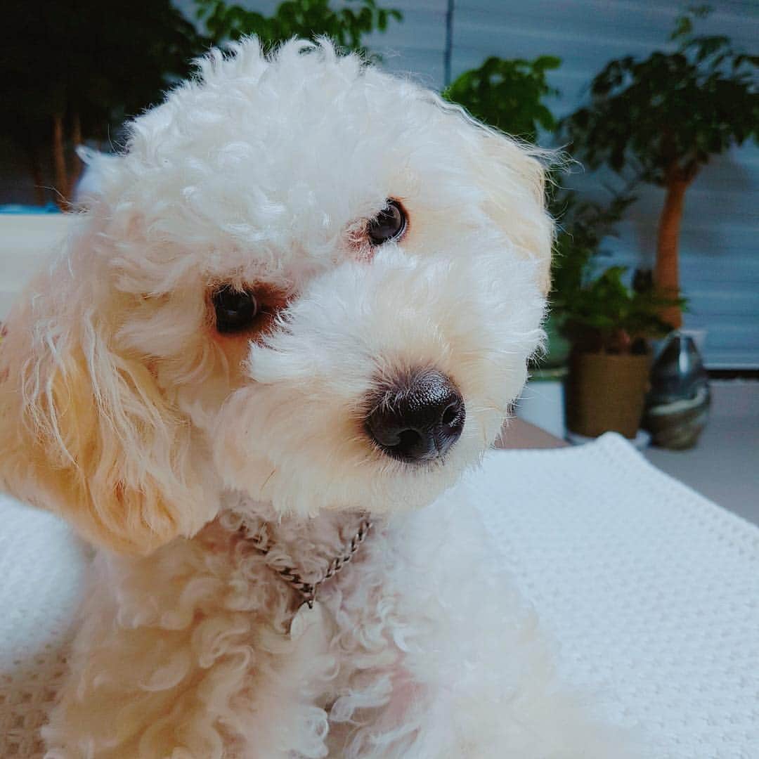イ・ヒョヌのインスタグラム：「아프지말아요, 행복하자🙏🏻」