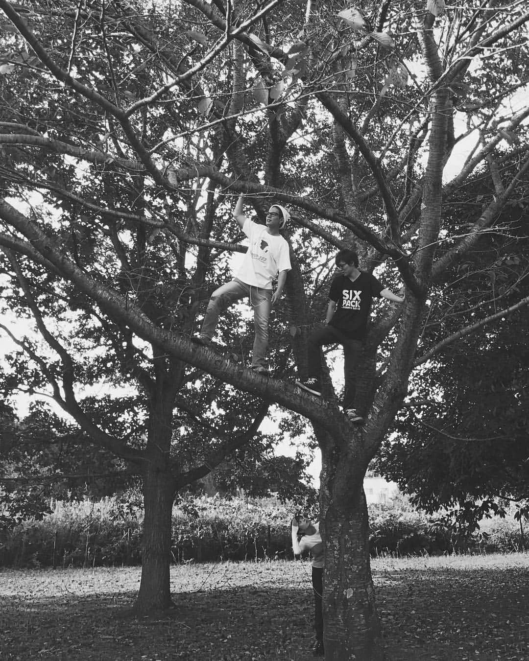 大久保桜子さんのインスタグラム写真 - (大久保桜子Instagram)「木登りを楽しむお兄さん達をただ羨ましそうに見上げることしかできなかった #tree」9月21日 21時42分 - sakurako.official