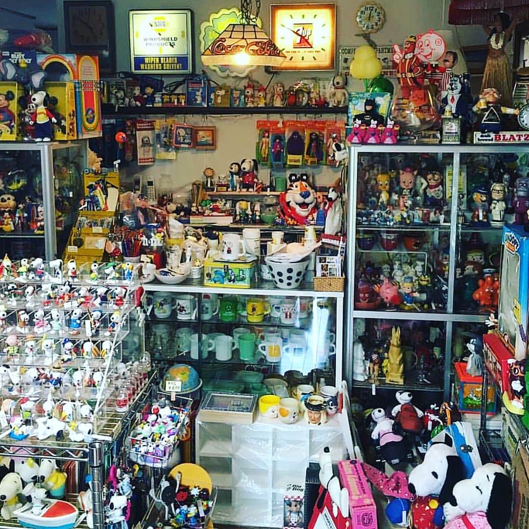 大川知英のインスタグラム：「2017.10月1日 （日曜日）Locohana General Storeさんで12時から18時までアメリカ馬鹿野郎の私がいますので皆さま、是非遊びに来てください🇺🇸❗️庭もあるのでジュースも飲みながらアメトイ見ながら、お気に入りは貴方のお家に👍プチ旅行って奴で🐝特にピーナッツ（スヌーピー）トイストーリー好きにはたまりまへん⛹🏻‍♀️古着好きな方も部屋にお気に入りのビンテージと一緒に飾るとより部屋が最高の空間になるなり❗️🇺🇸 アメリカ雑貨店 ピーナッツ ファイヤーキング ディズニー トイストーリーetc...〒252-0813 神奈川県藤沢市亀井野2-24-12 PM 12:00～18:00 0466-90-3038 最寄り駅からも来れます🚬 #アメトイ #藤沢市 #お気に入りを探してね #ピーナッツ #トイストーリー #ディズニー #その他いろいろ #アメカジボーイズ #TakatsuBase」