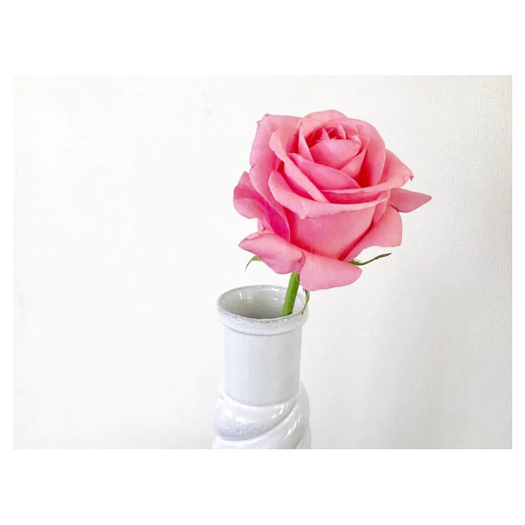 中林美和さんのインスタグラム写真 - (中林美和Instagram)「大切にしている #astierdevillatte の花瓶に、美しい薔薇を一輪。 💗 . #flower  #rose #myfavorite #beautiful #happy @astierdevillatte」9月22日 14時40分 - miwanakabayashi