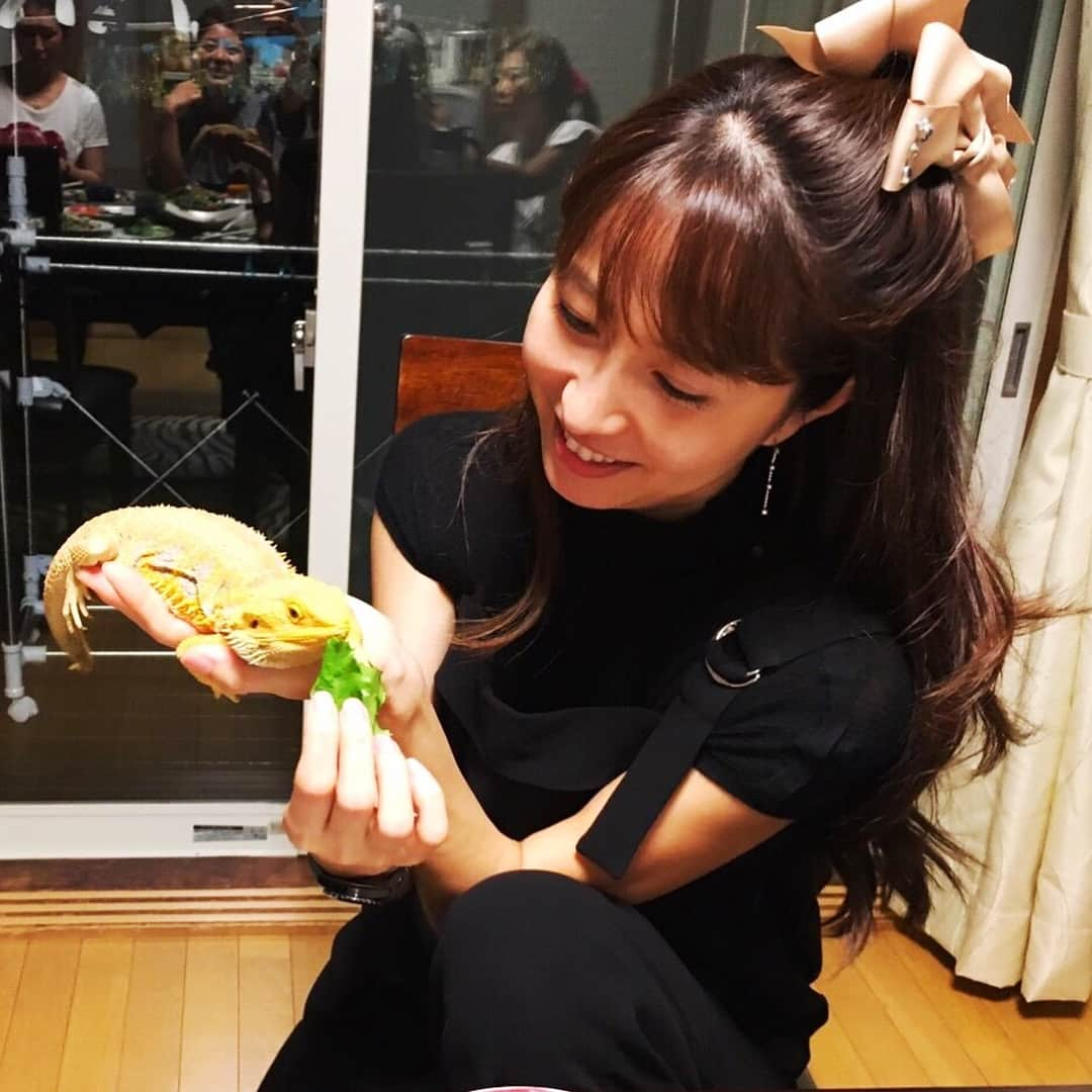 榎本加奈子さんのインスタグラム写真 - (榎本加奈子Instagram)「#由美さんのペット #はちゅうるい #居心地の良いお家  #美味しいご飯 #昆布締め大好き #楽しい時間 #箸置き  #pet #cute」9月23日 16時01分 - kanako._.enomoto