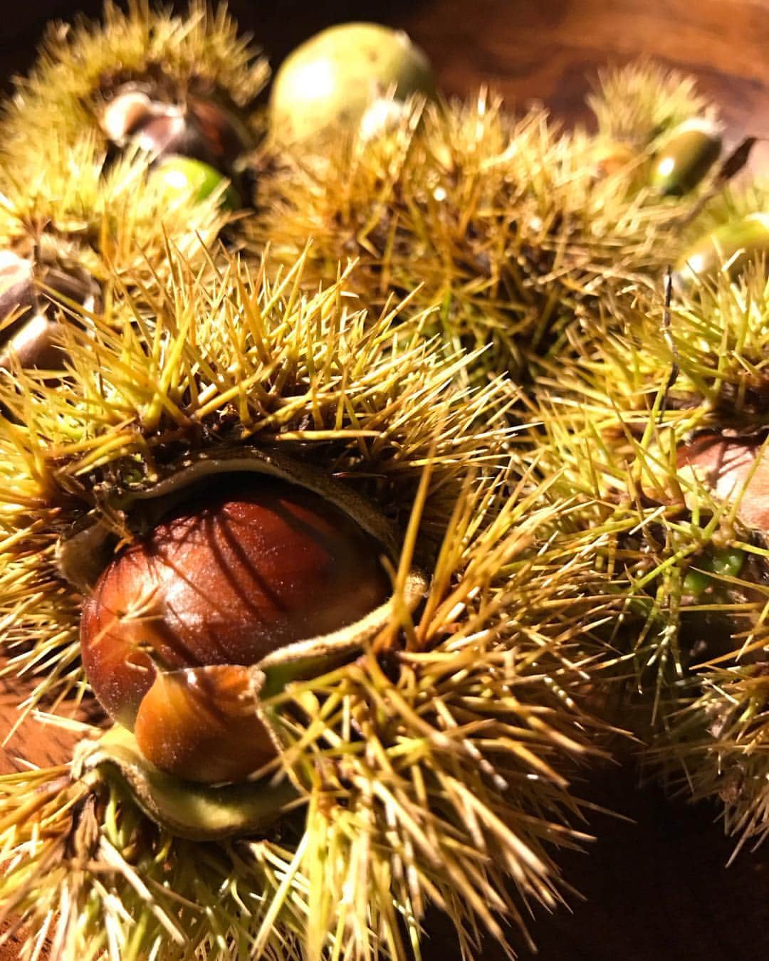 山人のグルメインスタ