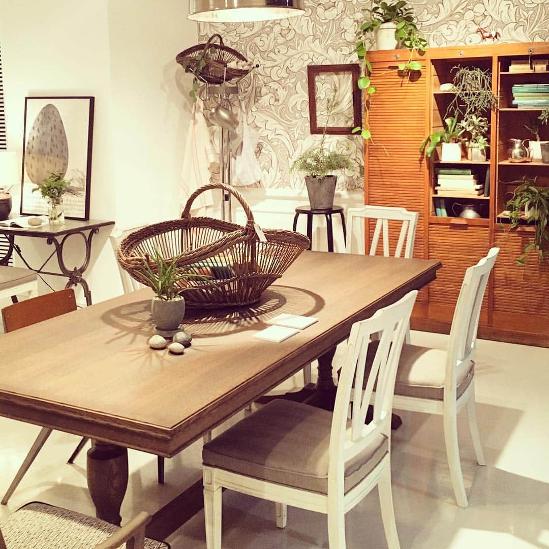 TABROOMのインスタグラム：「マルニ木工「atelier」。シャビーホワイトという塗装を新たに開発。 #maruni #atelie #sofa #マルニ木工 #ソファ #クラシック #クラシック家具 #シャビー #シャビーシック #シャビーシックインテリア #shabbychic #shabby #shabbychicdecor #shabbychicinterior」