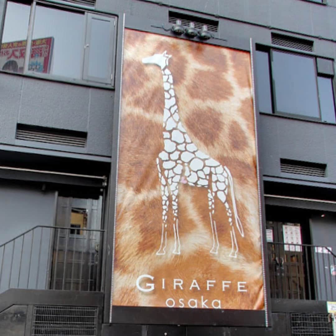 大阪グルメウォークさんのインスタグラム写真 - (大阪グルメウォークInstagram)「Introducing No. 41 "Giraffe Osaka"!!! ** ** For 1 ticket, you will receive 1 drink.  This club is located right by Dotonbori river, in the heart of Namba.  Due to the great location and opens early, so many foreigners and tourists are here!  Very happening with music like R＆B, Hip-Hop, EDM, etc.  Security is very tight, so you will be comfortable to enjoy.  They have lots of special events as well, so you sure will have a good time!  There may be entrance fee depends on entering time and sex.  There are discounts, so it's better to check the system details at the club's official homepage first.  こんばんは！富永です🌸 ✴︎ 本日は、 NO.41【GIRAFFE OSAKA（ジラフ大阪） 】さんです！！ ✴︎ チケット１枚で ☆1ドリンク☆ いただけます🥂🥂 ✴︎ 今回はクラブの紹介ですが、 道頓堀川に面しており、かなり賑わうので ご存知の方も多いのではないでしょうか？？ ✴︎ 抜群の立地もあってか、 外国人の方や大阪旅行に来た方も 多く来店されています！！👍👍 ✴︎ 中ではR&Bやヒップホップ、EDM などが流れており、 とにかく😁盛り上がる曲😁 が多いですね〜🎊🎊 ✴︎ もちろん！！ セキュリティもしっかりしているので、 安心して下さいね😘😘 イベントもとっても多いので、 思った以上に楽しめるのではないかと思います🌈🌈 ✴︎ そして最後に、 今回のグルメウォークチケットでは 1ドリンク無料ですが、 お店に行く時間や性別などで 入場料がいくらか掛かってきます😱 割引などもありますので、 一度調べてから行った方が 良いかもしれませんよ🌸🌸 ✴︎ 楽しい夜をお過ごし下さい🌉✨ 次回もお楽しみに👅 ✴︎ ⚡️⚡️⚡️⚡️⚡️⚡️⚡️⚡️ グルメウォークチケットですが、 現在、4000円で販売しております！ チケットは7か所で購入できますので 是非お買い求めください☆ 詳しくはhpへ！ ➡︎ http://gourmet-walk.com このアカウントのトップページから飛べます👑 ⚡️⚡️⚡️⚡️⚡️⚡️⚡️⚡️ #大阪 #心斎橋 #難波 #なんば #道頓堀 #ミナミ #大阪名物 #大阪グルメ #大阪観光  #食 #食べ歩き #ちょい飲み  #グルメウォーク  #osaka #shinsaibashi #namba #dotonbori  #gourmet #foodstagram #delicious  #instafood #tasty #japanesefood #osakatrip #gourmetwalk  #クラブ #ナイトクラブ #道頓堀 #ジラフ」9月24日 18時42分 - osakagourmetwalk