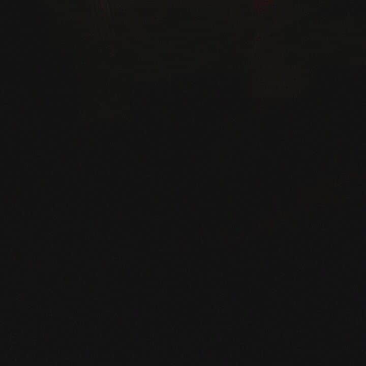 チェン のインスタグラム