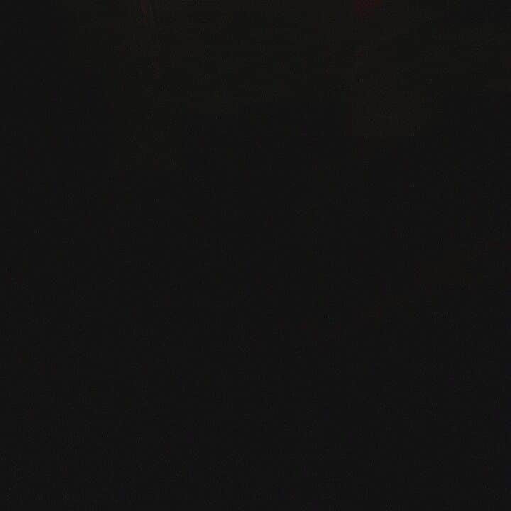 チェン のインスタグラム