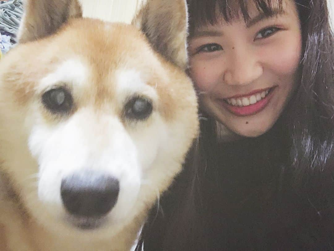 大関れいかさんのインスタグラム写真 - (大関れいかInstagram)「. 犬と我。 相変わらず塩対応。そして相変わらずカメラ嫌い。笑 でも急にツンデレな犬。🐶 相も変わらずかわいいかわいい私の相棒🤘🏻🤘🏻 最近13歳になりました🐶 おばあちゃんです🐶 ずっしょだぜっ！！！愛してるぜガッツ！！ . #ガッツ#愛犬#もう13年も一緒にいる #dog#shibainu#13yearsold#love #myboo#japan#japanesedog」9月24日 21時18分 - _reikaoozeki