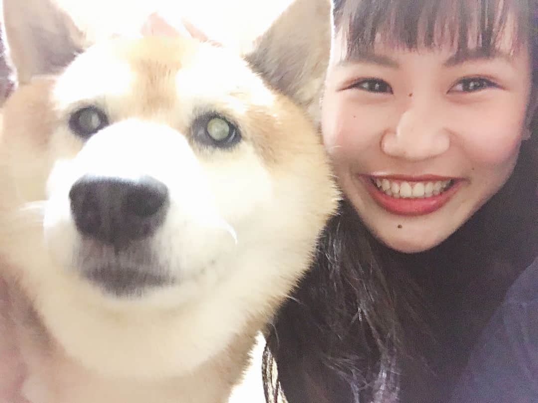 大関れいかさんのインスタグラム写真 - (大関れいかInstagram)「. 犬と我。 相変わらず塩対応。そして相変わらずカメラ嫌い。笑 でも急にツンデレな犬。🐶 相も変わらずかわいいかわいい私の相棒🤘🏻🤘🏻 最近13歳になりました🐶 おばあちゃんです🐶 ずっしょだぜっ！！！愛してるぜガッツ！！ . #ガッツ#愛犬#もう13年も一緒にいる #dog#shibainu#13yearsold#love #myboo#japan#japanesedog」9月24日 21時18分 - _reikaoozeki