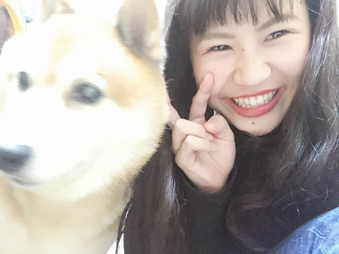 大関れいかさんのインスタグラム写真 - (大関れいかInstagram)「. 犬と我。 相変わらず塩対応。そして相変わらずカメラ嫌い。笑 でも急にツンデレな犬。🐶 相も変わらずかわいいかわいい私の相棒🤘🏻🤘🏻 最近13歳になりました🐶 おばあちゃんです🐶 ずっしょだぜっ！！！愛してるぜガッツ！！ . #ガッツ#愛犬#もう13年も一緒にいる #dog#shibainu#13yearsold#love #myboo#japan#japanesedog」9月24日 21時18分 - _reikaoozeki