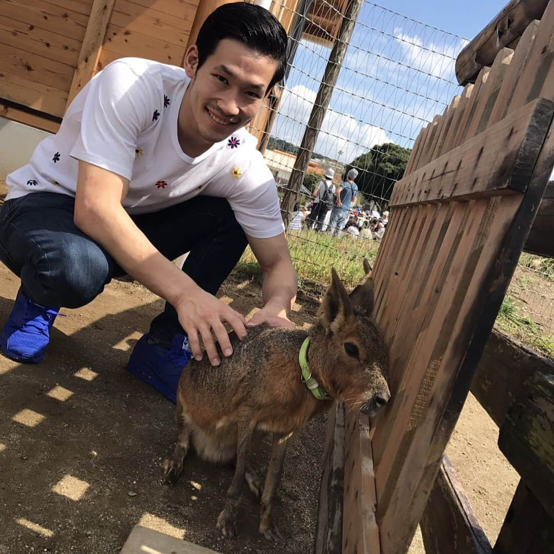 長谷川智将のインスタグラム：「マザー牧場🐈🐖🦏🐂🐏🦆🐑🐄🐇🐓 羊の毛を初めて触りました😂気持ちよかったから将来牧場作りたくなった😭✨アルパカの髪ちょいちょいオシャレにしててイラっとした🤣✨」