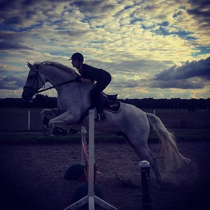 ヴィクトリヤ・シニツィナのインスタグラム：「#Laredo #ownhorse #love #shadows #oneheartbeat #forever #iloveyou #meandyou #training #jumping #jumpinghorse #freedom」