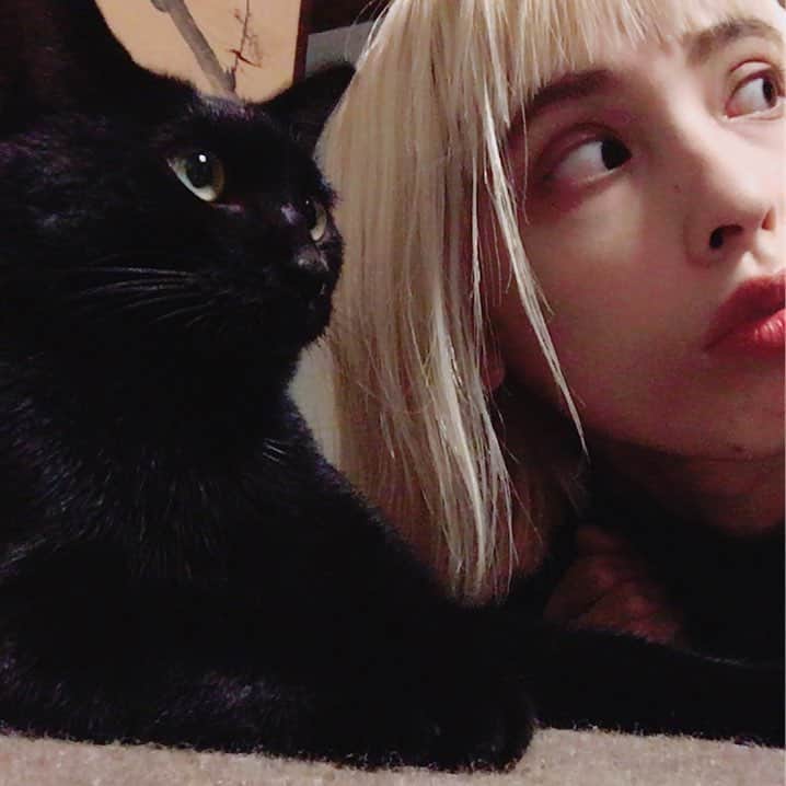 レイチェルのインスタグラム：「今日はなでつもに遊びに行く予定だよ」