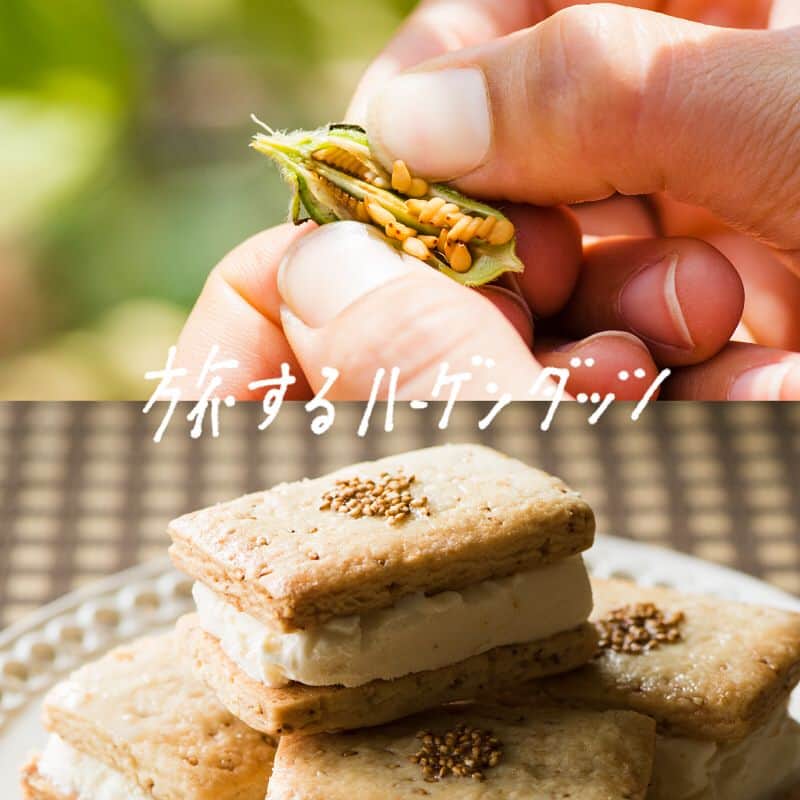 ハーゲンダッツ ジャパンのインスタグラム