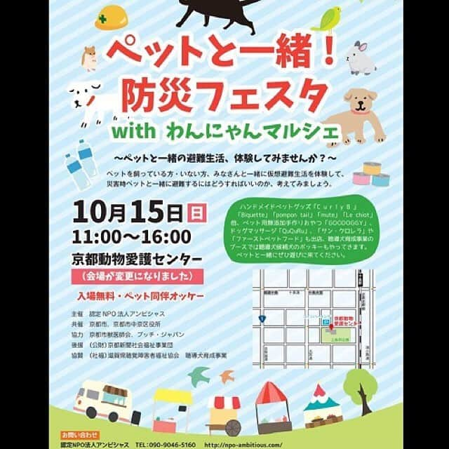 杉本彩さんのインスタグラム写真 - (杉本彩Instagram)「認定NPO法人アンビシャスさんより❗️ 10月15日 ペットと一緒！ 防災フェスタ ワンニャンマルシェの場所が変更なりました。 京都動物愛護センターで開催されます。 二条駅佛大ガレージではありませんのでお気をつけください^_−☆ #アンビシャス #防災フェスタ #京都動物愛護センター」9月27日 17時35分 - sugimoto_aya0719