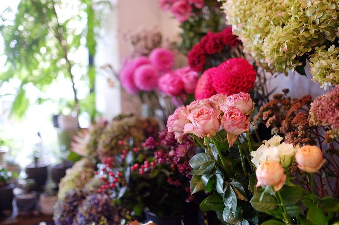 Keikooooooのグルメインスタ