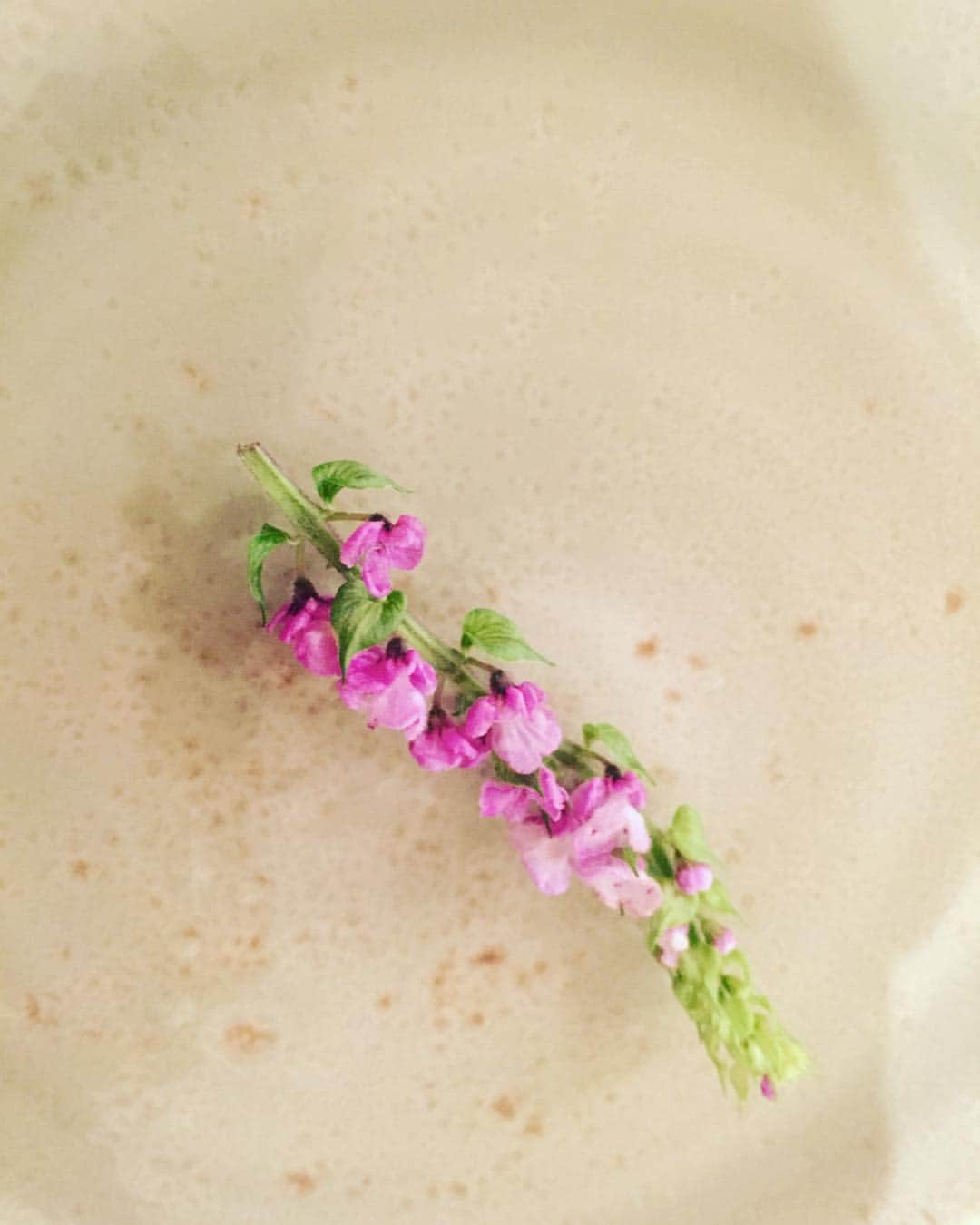 イ・ヒョヌさんのインスタグラム写真 - (イ・ヒョヌInstagram)「시소꽃 너무 예쁘다🌼」9月27日 20時17分 - hihyunwoo