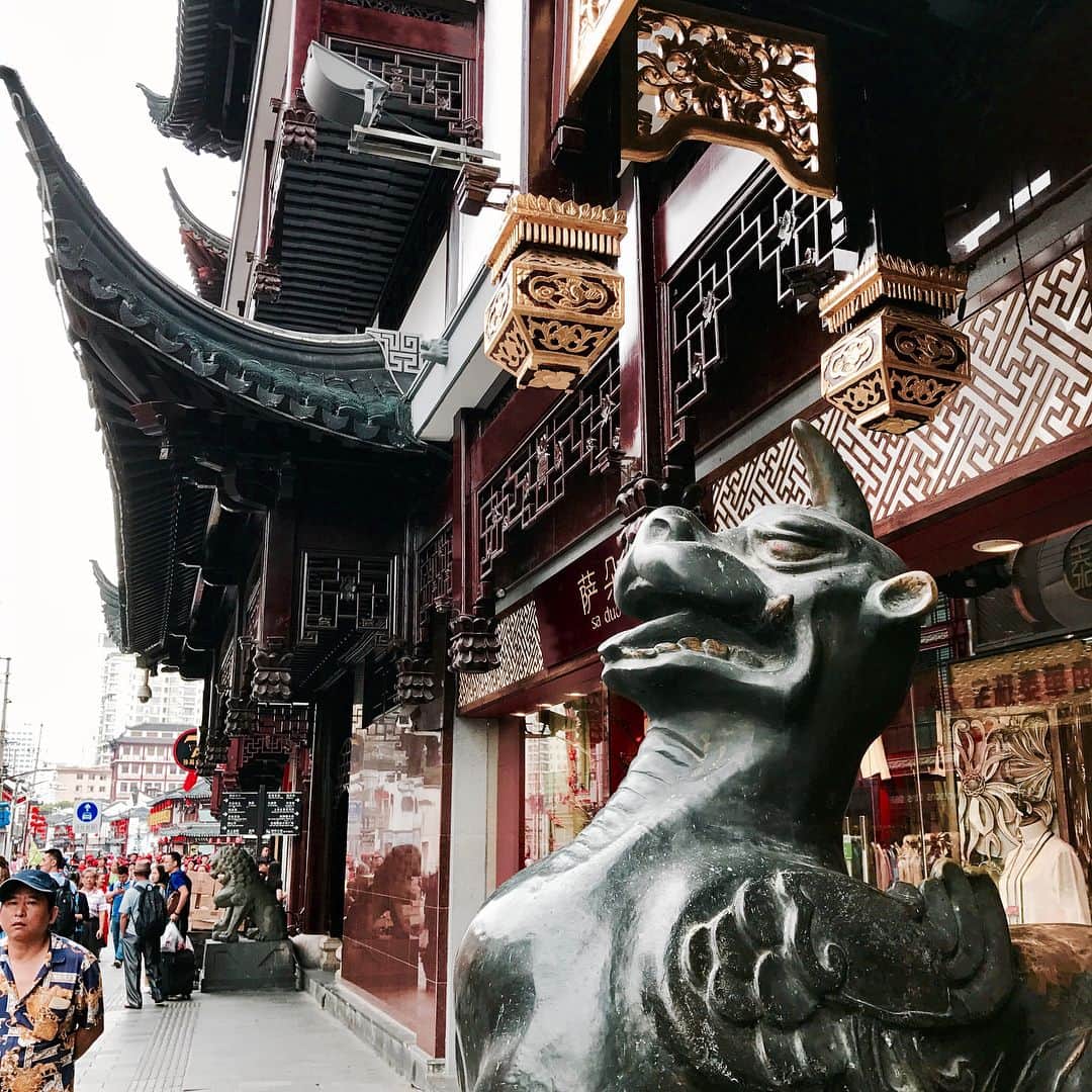 ライアン・テダーさんのインスタグラム写真 - (ライアン・テダーInstagram)「SHANGHAI LAST LOOKS 🙏🙏. THANK U ASIA, THANK U 🇨🇳 - CAN'T WAIT FOR NEXT TIME. 最后一天在上海! -#onerepublic #asia #china #tour #shanghai #travelphotography #travelblogger #tagheuer #ysl #live #livewell #foodie #Oprah」9月28日 17時50分 - ryantedder