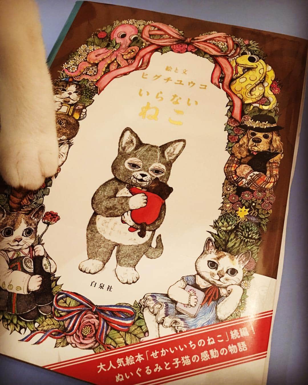 柴咲コウさんのインスタグラム写真 - (柴咲コウInstagram)「ファンの方から、まさかの！ヒグチユウコさんの絵本が私宛のサイン入りで送られてきた！ 読みふけった… こころがきゅぅっとなって、なんとも言えない気持ちになった ただ、ただ、みんな幸せでいてね、みんなだいすきだよ、と思った #ヒグチユウコ @yukohiguchi3 #いらないねこ #koclass #catstagram #catsofinstagram #koclass @ko_class #新会員証ヒグチユウコさん作 #保護猫 #のえる」9月28日 22時21分 - ko_shibasaki