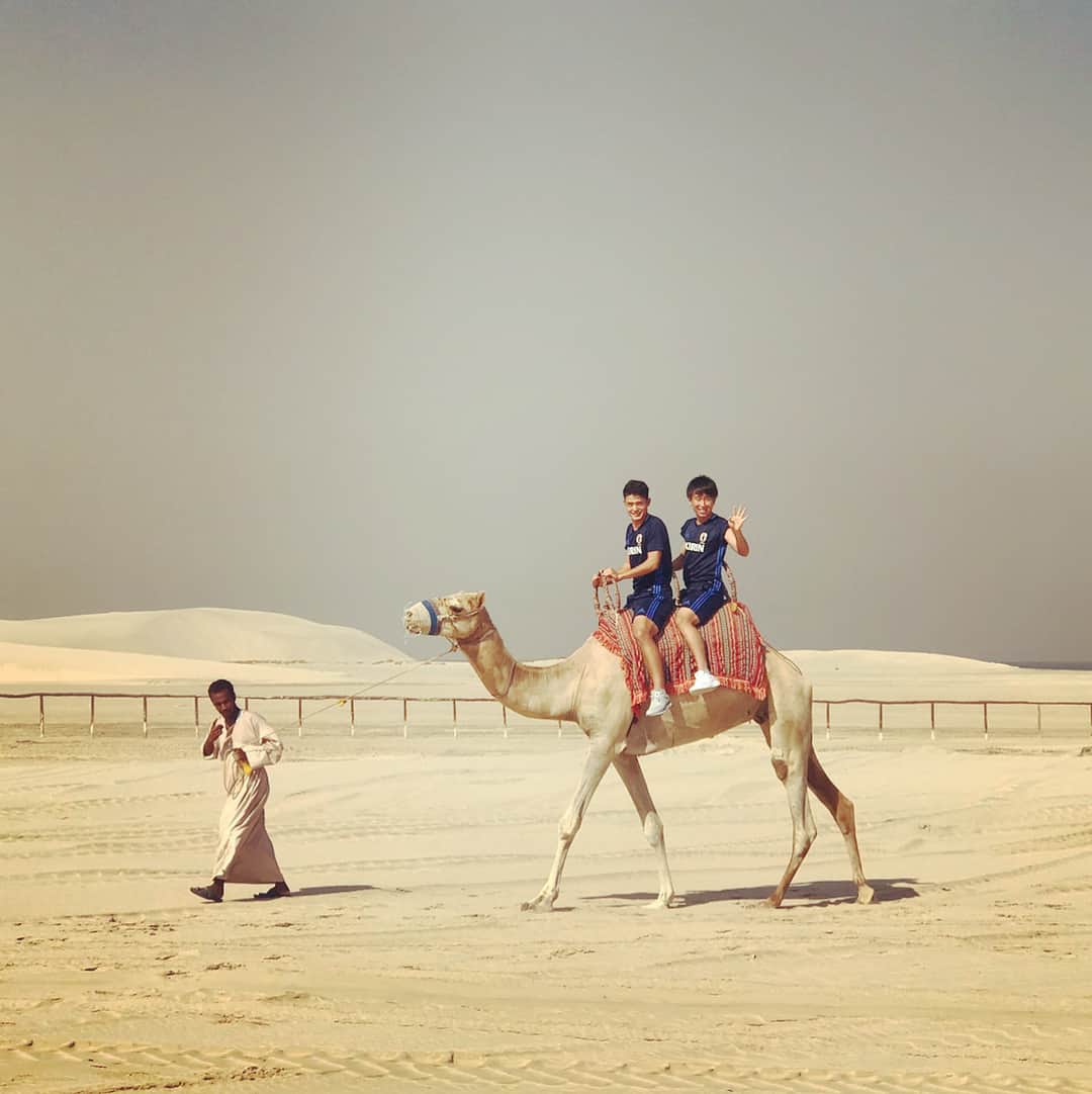 藤本寛也さんのインスタグラム写真 - (藤本寛也Instagram)「OFFだったので砂漠行ってきました🌵 #カタール遠征#OFF#砂漠#ラクダ#アンビリーバボー🐪」9月28日 23時03分 - kanya_10