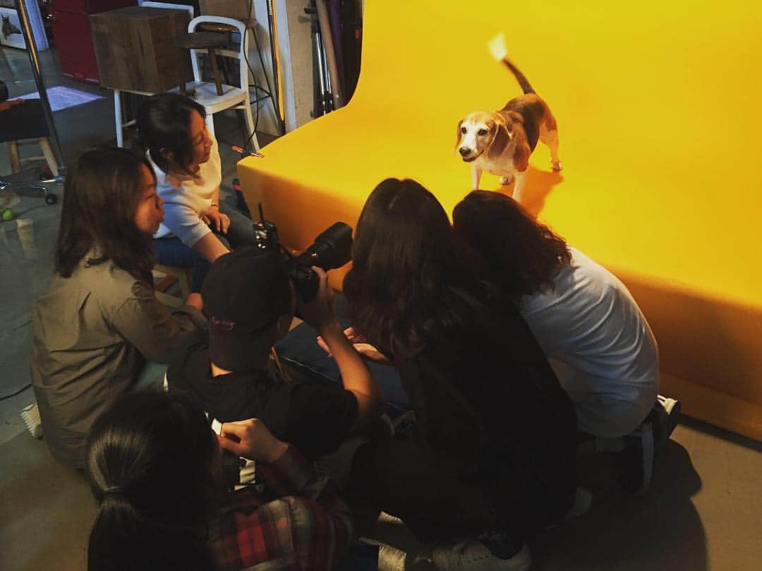 イ・ヒョヌのインスタグラム：「🐶🐶🐶🐶🐶🐶🐶🐶🐶」