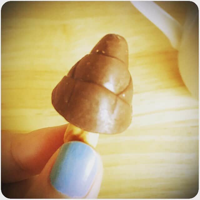 たにはらなつきのインスタグラム：「久しぶりにきのこの山買って食べてたら、きのこの笠の部分がたけのこになってる忌み子みたいなのが入っててびびた」