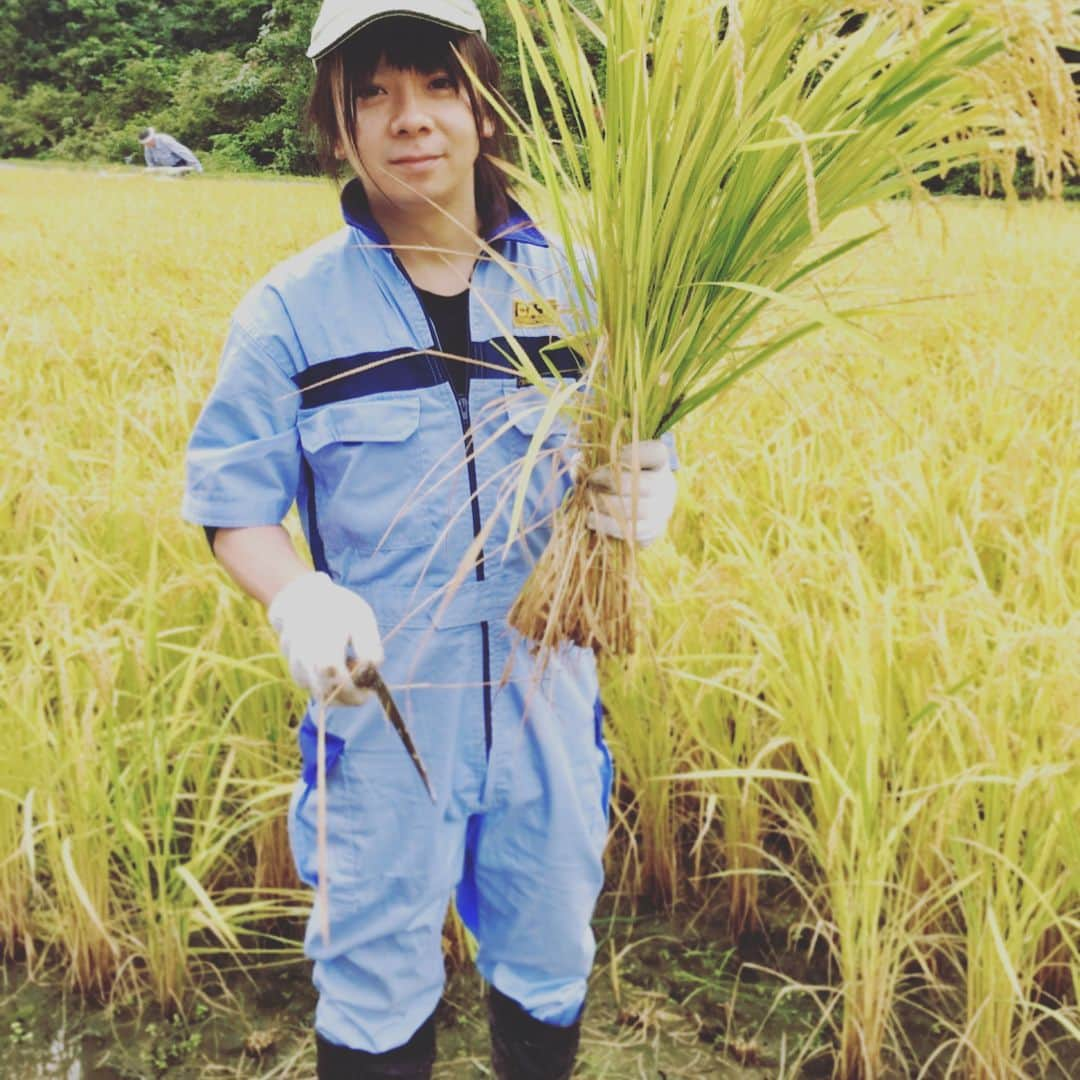 藤岡幹大さんのインスタグラム写真 - (藤岡幹大Instagram)「稲刈りしてたけど雨降って中断🌾」9月30日 13時08分 - mikio158cm