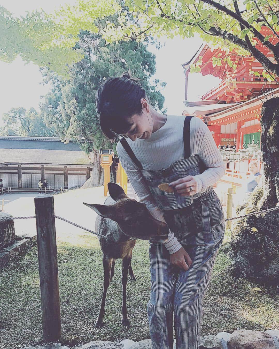 安田美沙子さんのインスタグラム写真 - (安田美沙子Instagram)「#instagood  #japan #japanese #dear #cute #lovely #奈良 #shooting #にじいろジーン  #春日大社 #しかせんべい 鹿さん、思いの外力強くてドキドキ🦌」9月30日 20時47分 - yasuda_misako