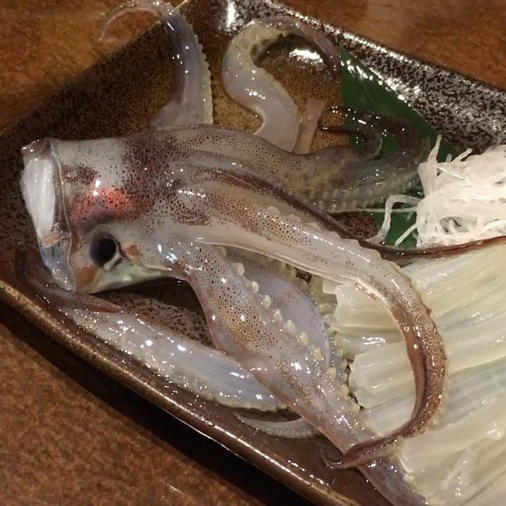 田中律子のグルメインスタ