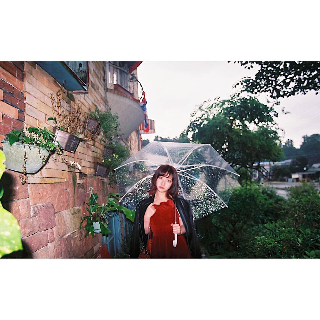 あやぱんのインスタグラム：「#filmcamera#那須」
