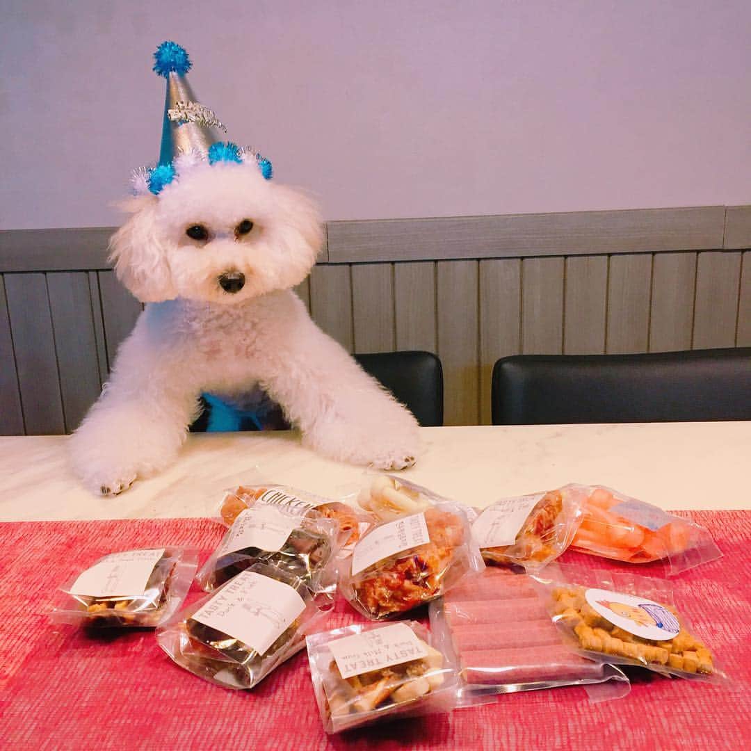 のインスタグラム：「12시가 지나버렸지만 생일축하해 하늘아🙄😉🐶❤️ #첫돌」