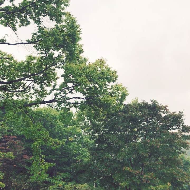 小林ひろ美のインスタグラム：「雨の日 ゆっくりと身体をチューニング☔  #雨#rain#pluie#chuva #detox」