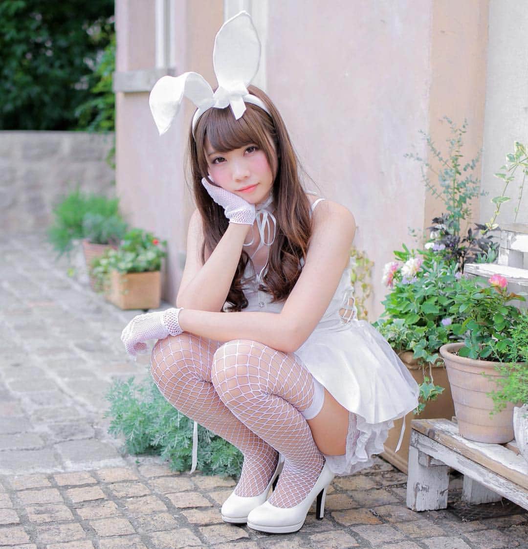 ないるさんのインスタグラム写真 - (ないるInstagram)「RABBIT🐰 - #白 #うさぎ #white #rabbit  #バニーガール #コスプレ #coser #cosplay #cosplayer」10月3日 10時28分 - nairuru.i