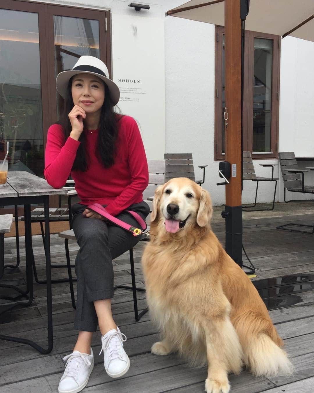 高橋ひとみさんのインスタグラム写真 - (高橋ひとみInstagram)「最近、お気に入りの海が見えるカフェで一休み☕️ #dog #ゴールデンレトリバー #goldenretriever #大型犬のいる生活」10月3日 10時53分 - hitomi_momoe