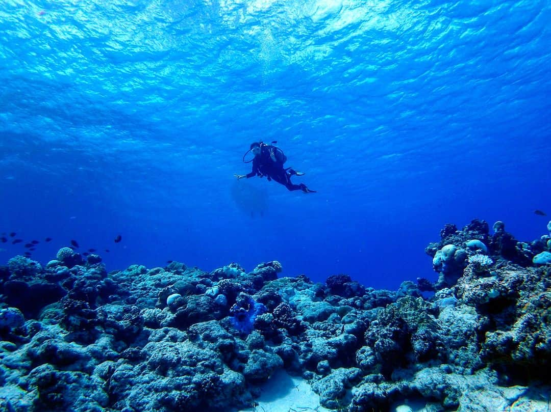 谷亜沙子さんのインスタグラム写真 - (谷亜沙子Instagram)「初スキューバダイビングに挑戦しました🐠🌊🏝 初めての体験で耳抜きが最初できなくて気絶しそうになったけど慣れたら透き通る海の中で魚を間近で見れて水族館の中にいるみたいでした！幻想的な海の中の景色は素晴らしかった！  #instagood #diving #scuba #scubadiving #🐬 #divertimento #good」10月3日 12時10分 - asyakodayo