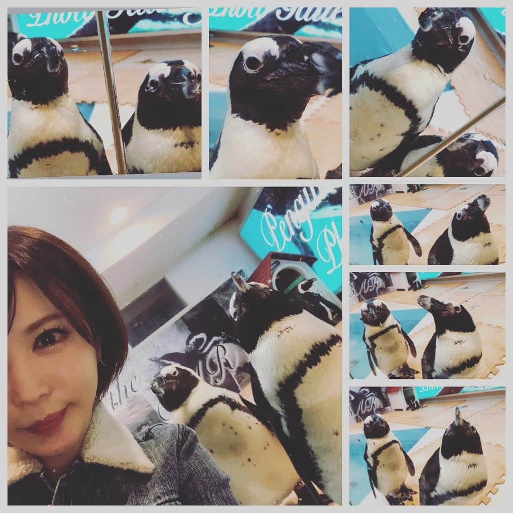 里美ゆりあさんのインスタグラム写真 - (里美ゆりあInstagram)「ペンギン🐧BAR 可愛かったー💗 #ペンギン#BAR#bar」10月4日 2時58分 - satomiyuria