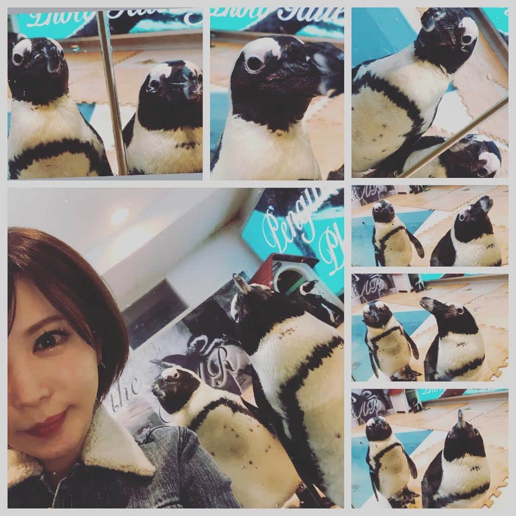 里美ゆりあのインスタグラム：「ペンギン🐧BAR 可愛かったー💗 #ペンギン#BAR#bar」
