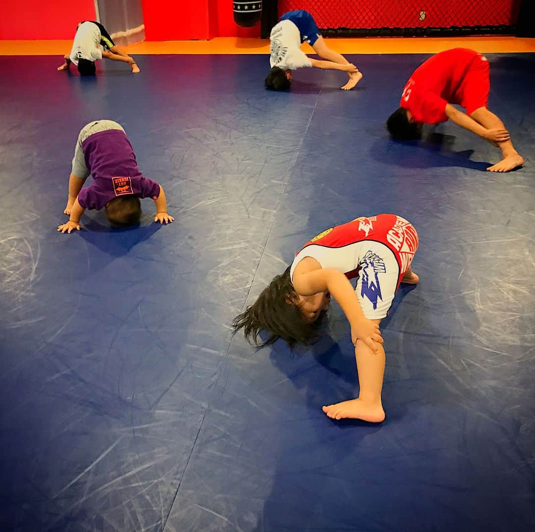 阿部裕幸さんのインスタグラム写真 - (阿部裕幸Instagram)「得意の前ブリッジ☝🏻 Koyuru and Kyle join AACC Kids Wrestling class😊 #aacc #aacckidswrestling #aacckids  #kidswrestling #aaccキッズ #aaccキッズレスリング #baby #mygirl #こゆるやま #7月生まれ #3歳  #myboy #myson #かいるまる #4月生まれ #1歳 #姉弟 #仲良し #格闘技やるならAACC #キッズクラスはAACC #前ブリッジ #neckbridge」10月3日 22時04分 - abeani111