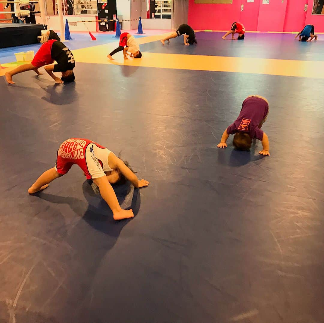 阿部裕幸さんのインスタグラム写真 - (阿部裕幸Instagram)「得意の前ブリッジ☝🏻 Koyuru and Kyle join AACC Kids Wrestling class😊 #aacc #aacckidswrestling #aacckids  #kidswrestling #aaccキッズ #aaccキッズレスリング #baby #mygirl #こゆるやま #7月生まれ #3歳  #myboy #myson #かいるまる #4月生まれ #1歳 #姉弟 #仲良し #格闘技やるならAACC #キッズクラスはAACC #前ブリッジ #neckbridge」10月3日 22時04分 - abeani111