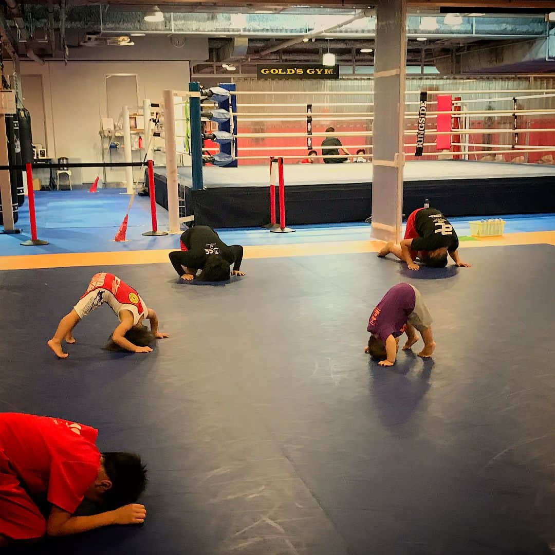 阿部裕幸さんのインスタグラム写真 - (阿部裕幸Instagram)「得意の前ブリッジ☝🏻 Koyuru and Kyle join AACC Kids Wrestling class😊 #aacc #aacckidswrestling #aacckids  #kidswrestling #aaccキッズ #aaccキッズレスリング #baby #mygirl #こゆるやま #7月生まれ #3歳  #myboy #myson #かいるまる #4月生まれ #1歳 #姉弟 #仲良し #格闘技やるならAACC #キッズクラスはAACC #前ブリッジ #neckbridge」10月3日 22時04分 - abeani111